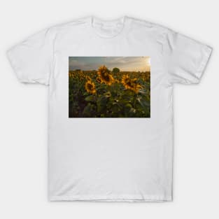 Sunflowers T-Shirt